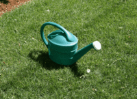 Watering Can 