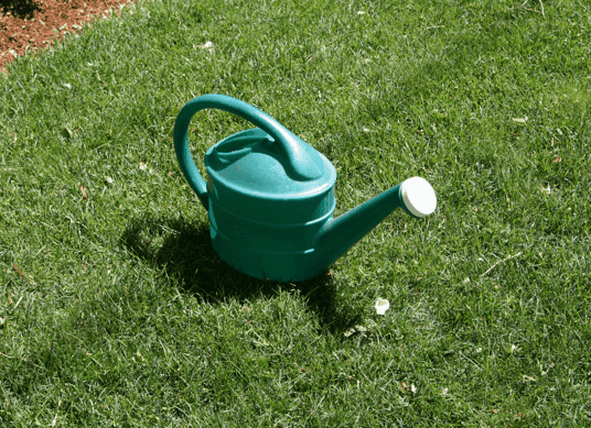 Watering Can