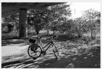 bw-bike-wiggle-3d 