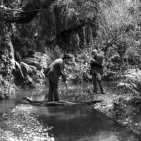 bw-old-creek-wiggle-3d 