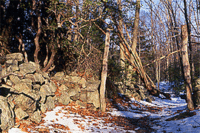 stereo_old-stone-wall-wiggle-3d 