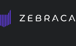 zebracat logo